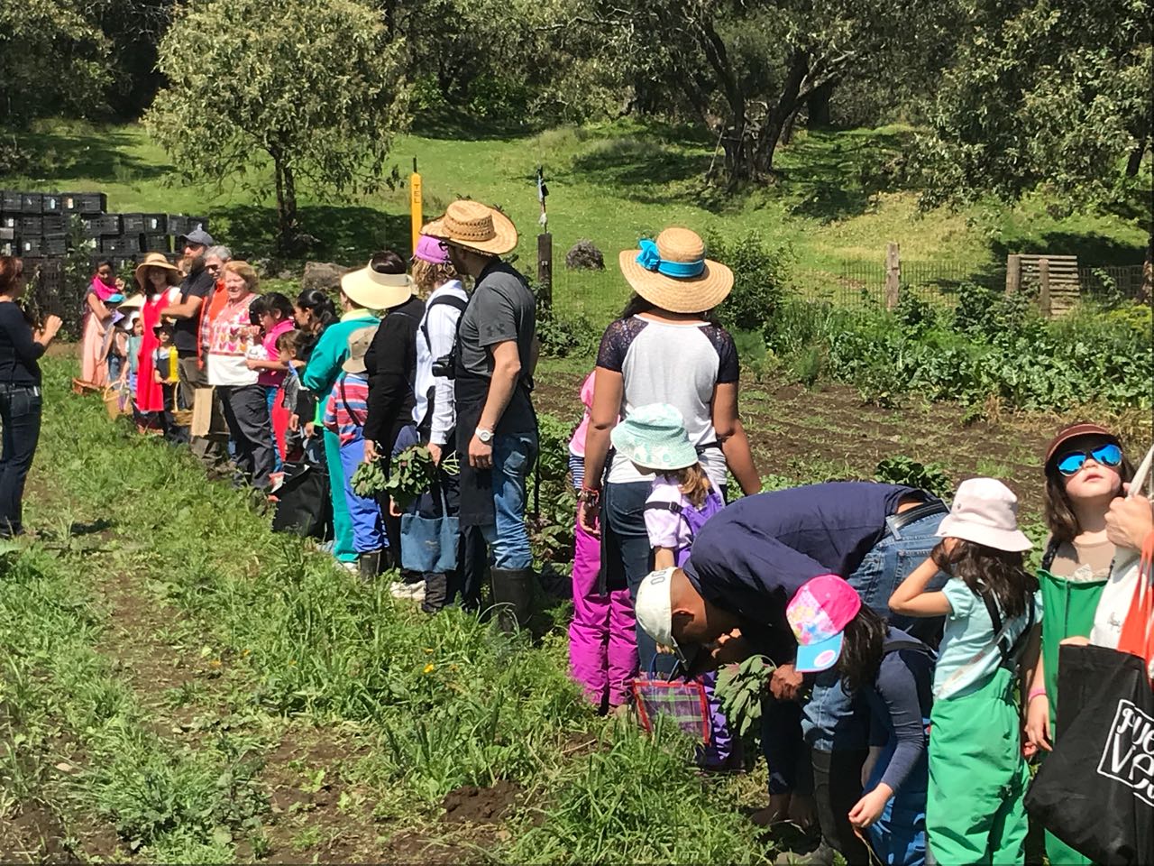 El Otoño y la Cosecha – Elhilar